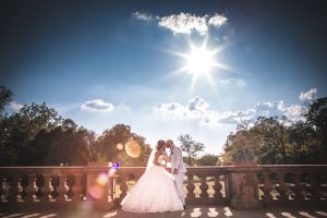 Edward Park Weddings